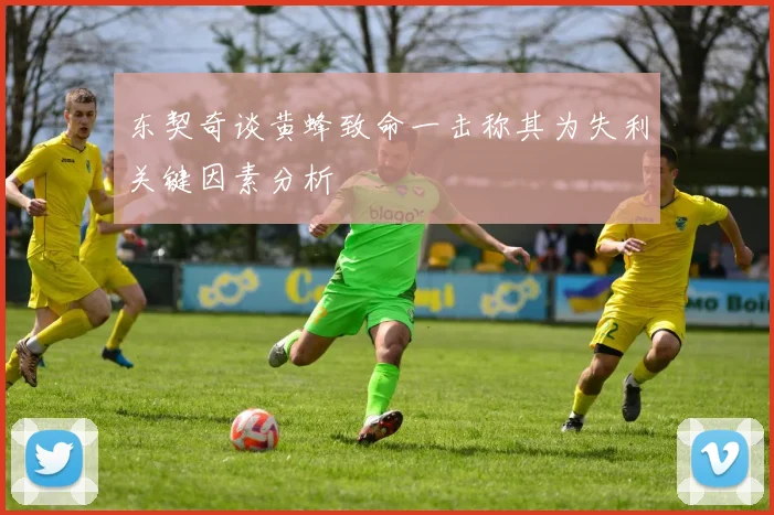 东契奇谈黄蜂致命一击称其为失利关键因素分析