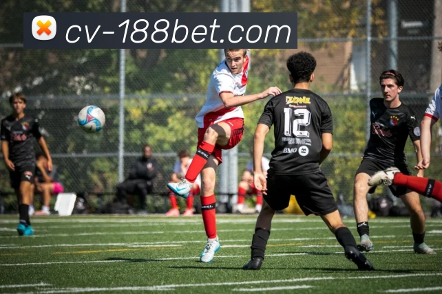 188bet平台生态图